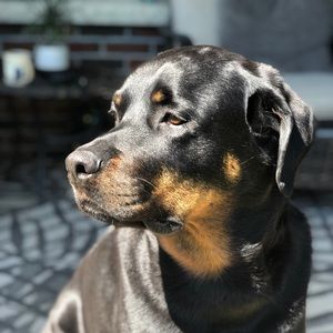 Meet your Posher, Heather